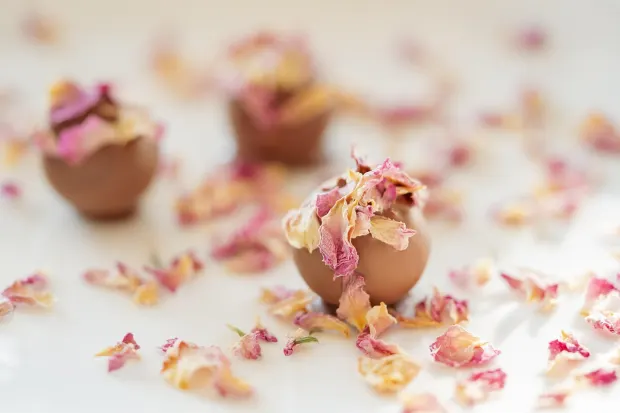 Pedalada10 Casino Android/iOS Forrit